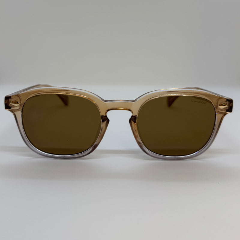 Óculos Downtown Marrom Translúcido Degrade l