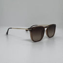 Óculos Cássio Marrom Translúcido