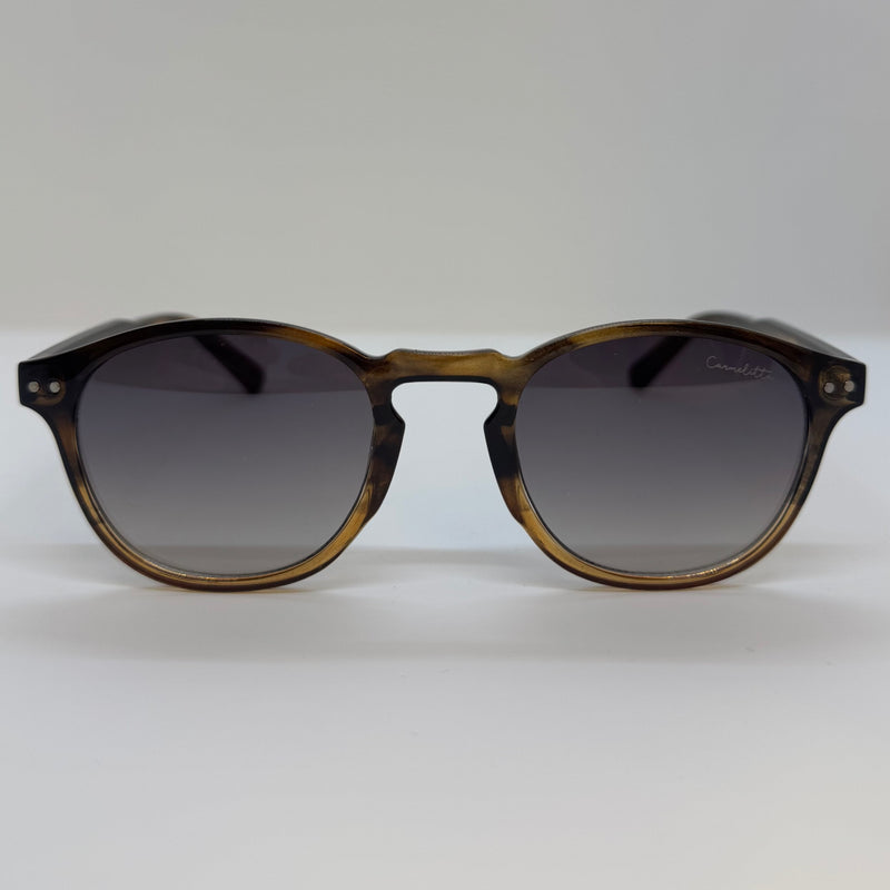 Óculos Apolo Marrom Degrade Shadow