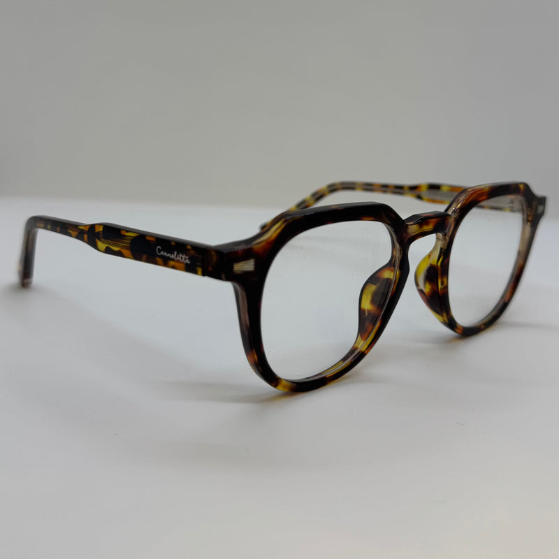 Armação Noronha Moonlight