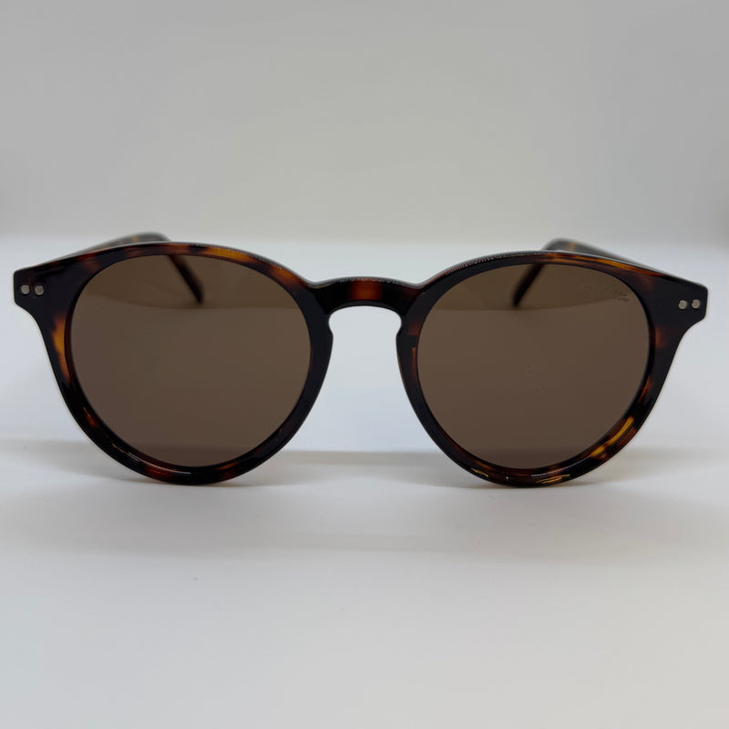 Óculos Cinnamon Tartaruga