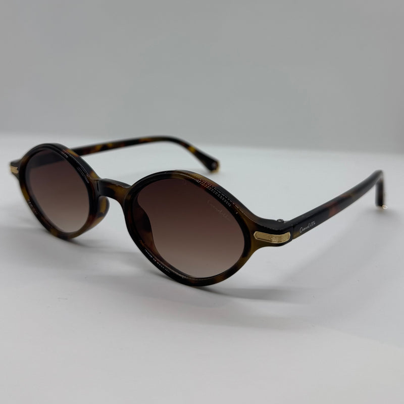 Óculos Azulik Tartaruga Lente Degrade